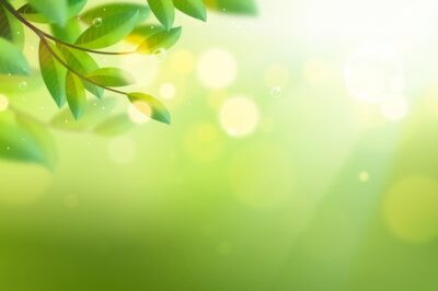 Free Vector | Copy space bokeh spring lights background