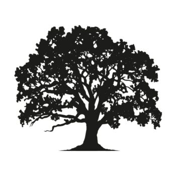 Free Vector | Hand drawn oak tree silhouette
