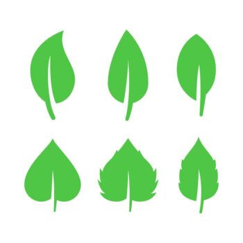 Free Vector | Multiple differnt green leaves
