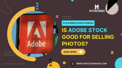 Is Adobe Stock Good for Selling Photos? Evaluating the Platform's Effectiveness