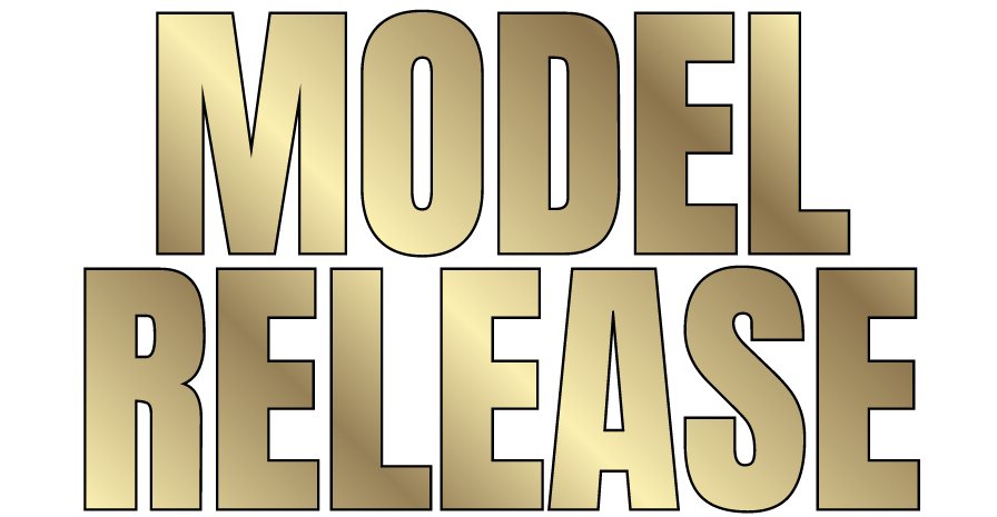 An image of Understanding Model Releases