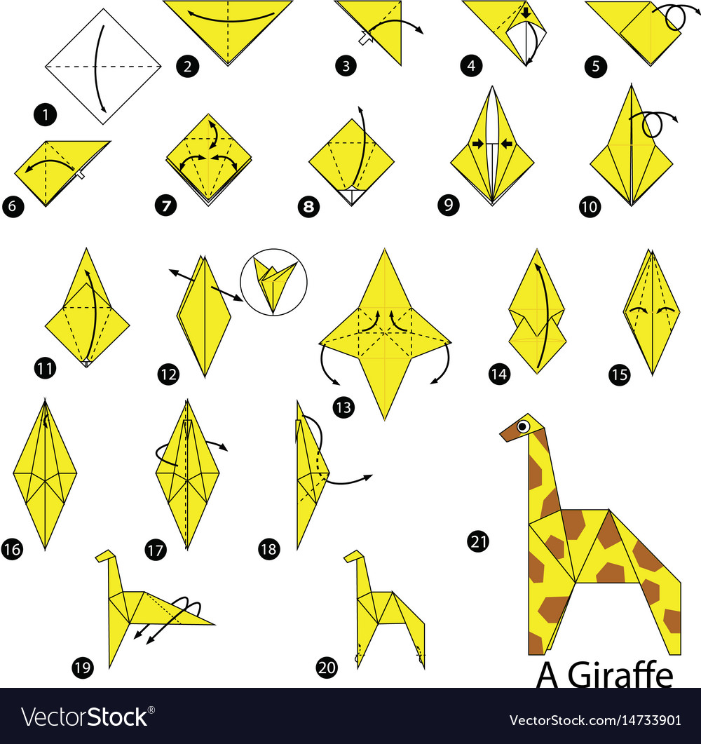 Step by instructions how to make origami Vector Image