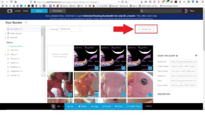 How To Actually Get All Your Photos From Photobucket. | Cheshire Anthropology