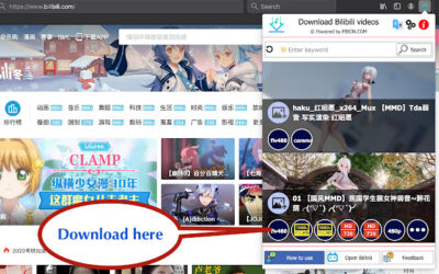 Download Bilibili videos