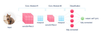 What is Image Recognition, its Working Principles and Uses – NIX United