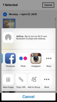 Flickr Update Offers Better iPhone Photo Sharing Backup