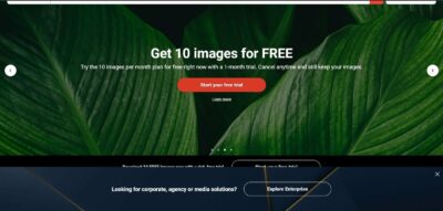 How To Get Shutterstock Images For Free Without Watermark