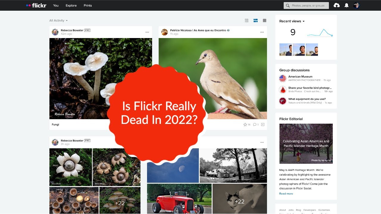 Can You Still Use Flickr In 2022 YouTube