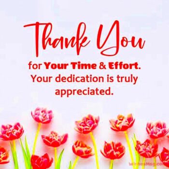 pink tulips with thank you for your time  effort your dedication is