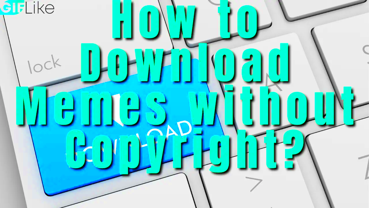 How to Download Memes without Copyright Ultimate Guide  GIF Like