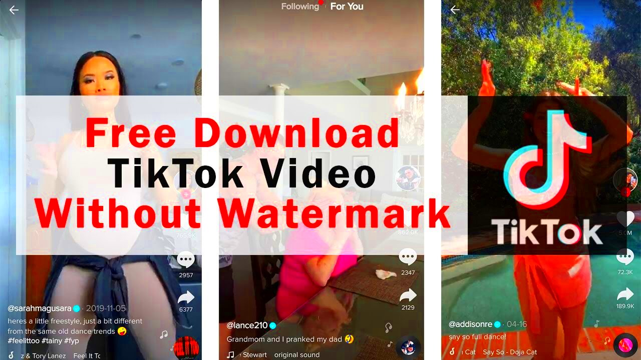 How to download tiktok without watermark  pasefluid