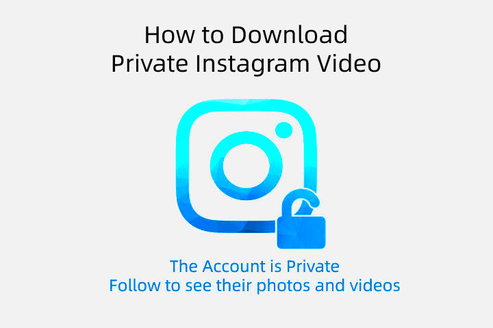 2 Simple Steps to Download Private Instagram Videos  VideoProc