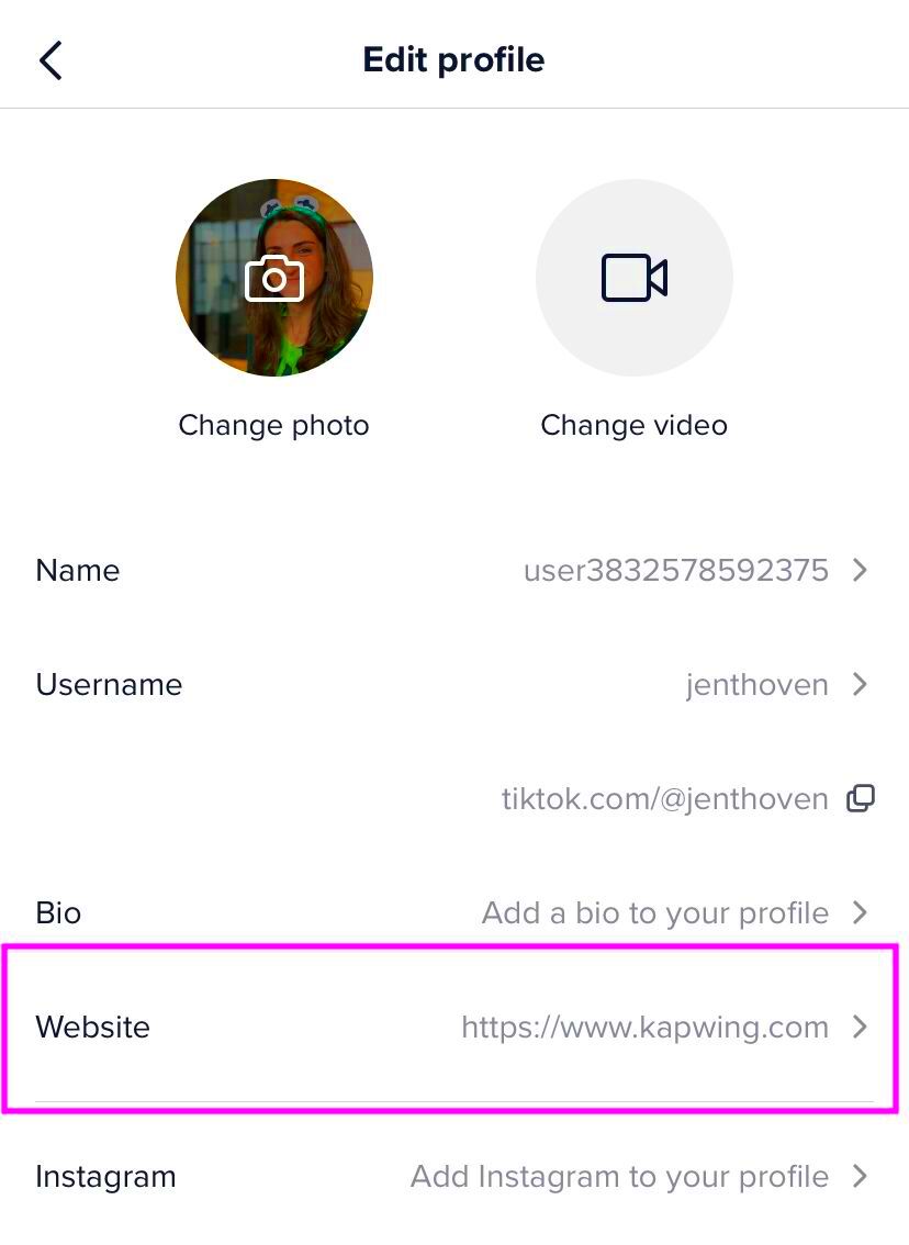 How to Add a Link in TikTok Bio and What This Means for TikTok