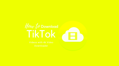 How to Download TikTok Videos With 4k Video Downloader 2024  BeginDot