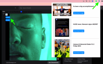 This extension can download images and videos from Reddit  rchrome