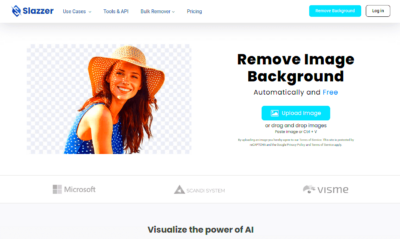 6 Best Tools to Remove Shutterstock Images Background Online