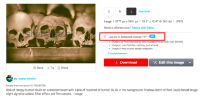 How to Purchase an Enhanced License on Shutterstock  Heather Shimmin