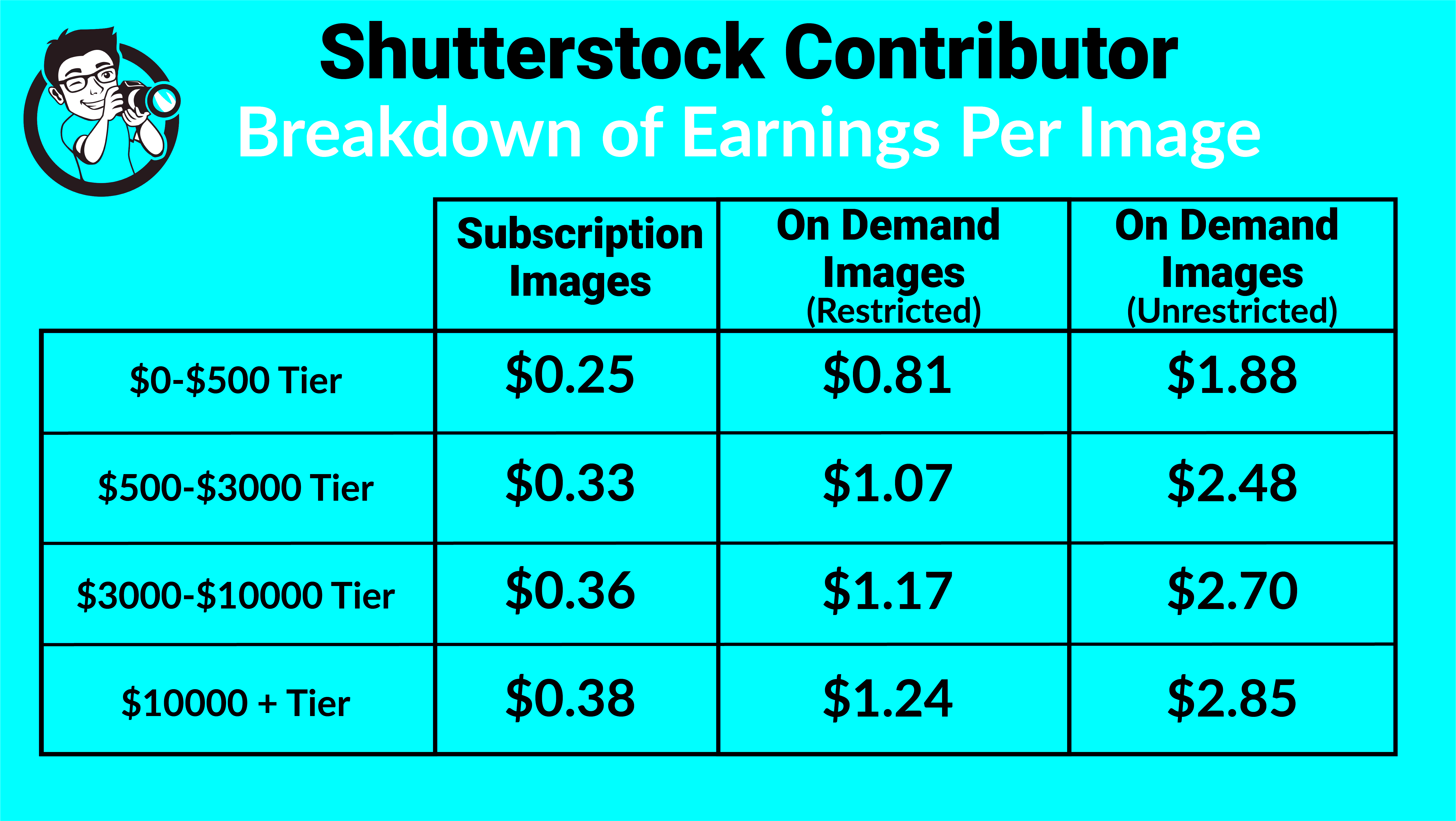 What Can Shutterstock Photography Do For You  A Shutterstock Review