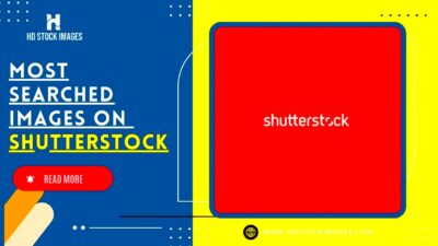 Exploring the Most Searched Images on Shutterstock Understanding User