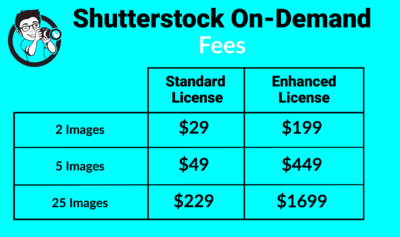 What Can Shutterstock Photography Do For You  A Shutterstock Review