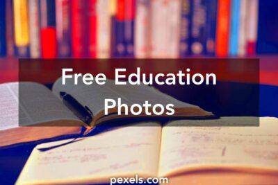 Free stock photos of education  Pexels