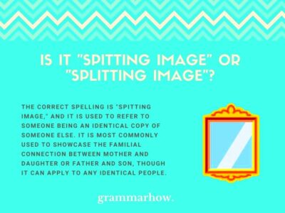 Is It Spitting Image or Splitting Image Meaning  Origin Quick Facts