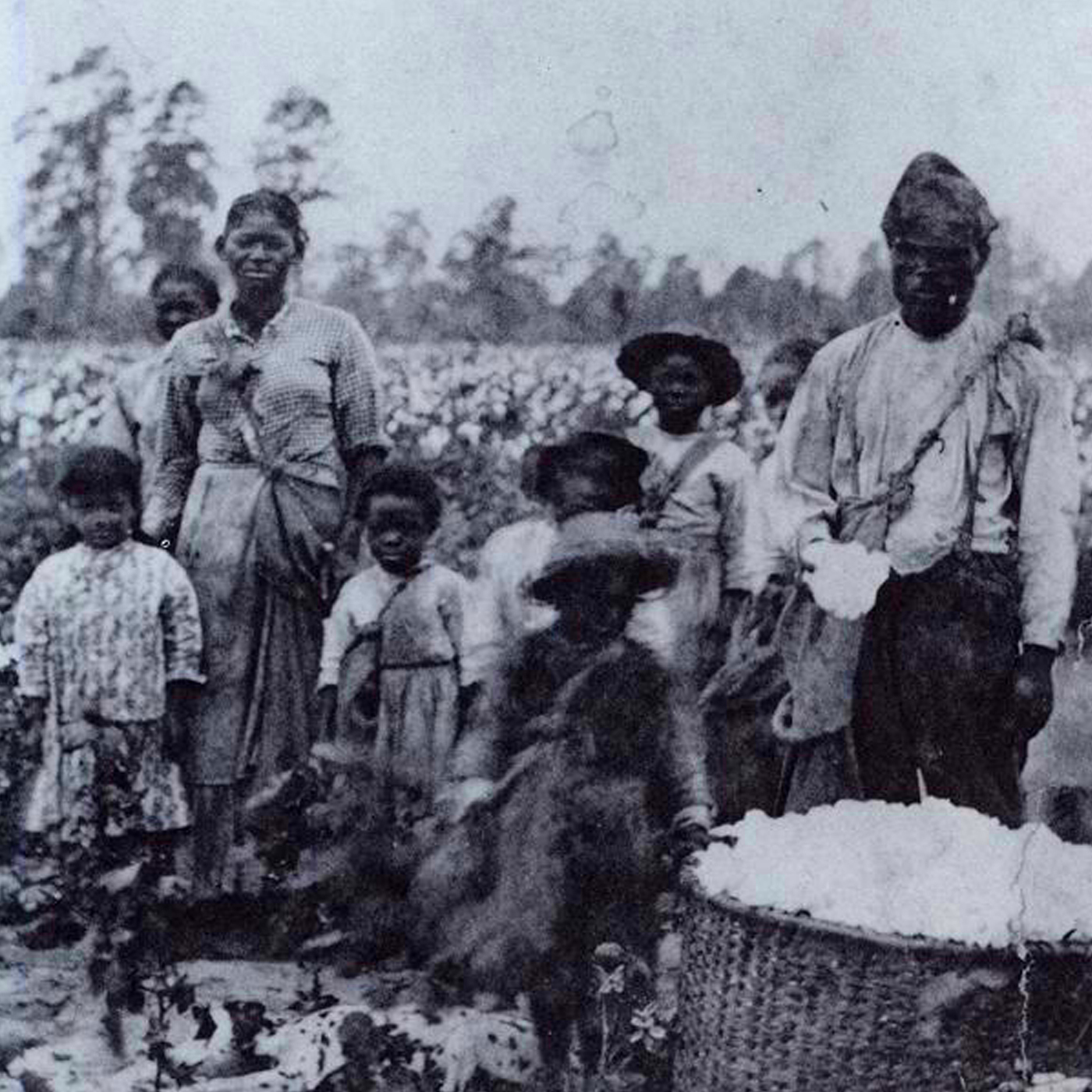 How America was built on slavery Those roots can still be felt today