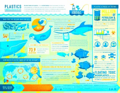 Plastic Pollution Infographic  Infographic Pollution Environmental