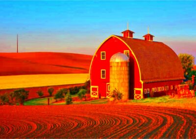 50 Fascinating Facts About Farming in America  Stacker