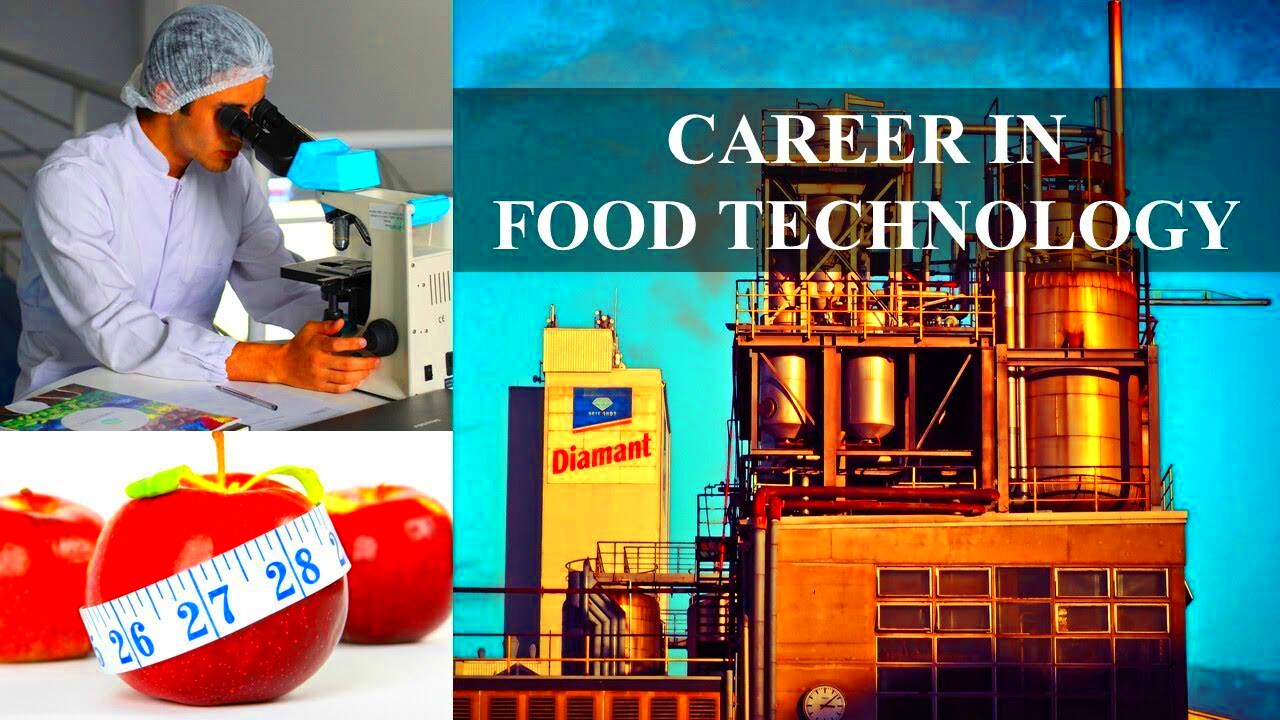 CAREER IN FOOD TECHNOLOGY  FOOD ENGINEERING  YouTube