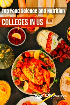 Top Food Science and Nutrition Colleges in US  DIY Active