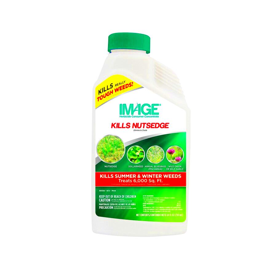 IMAGE 24Oz Concentrate Herbicide at Lowescom