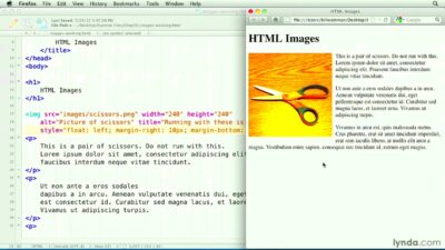 HTML Tutorial  Flowing text around an image  YouTube