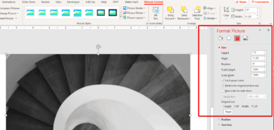 How to Invert a Picture in PowerPoint