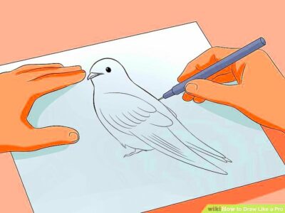 How to Draw Like a Pro 8 Steps with Pictures  wikiHow