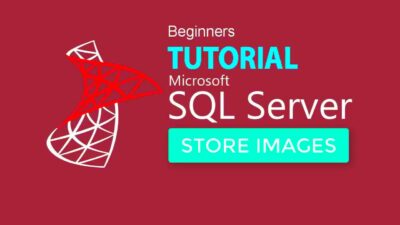 SQL SERVER 2017 TUTORIAL 11  Store Image Files In SQL Database  YouTube