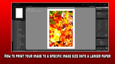 How to print your image to a specific image size onto a larger paper