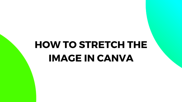 How to Stretch the Image in Canva  Pttrns