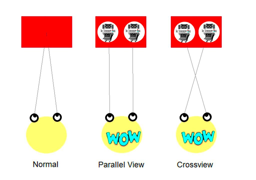 How to View Stereoscopic 3D Images FreeViewing and Using