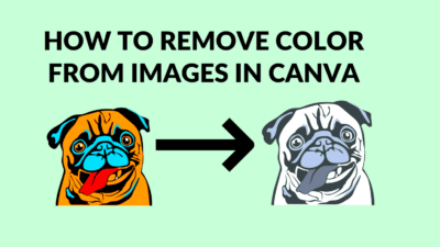 How to Remove Color From Images in Canva  Blogging Guide