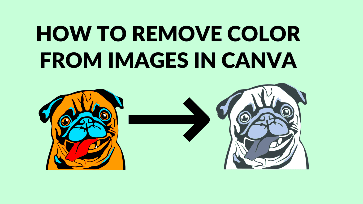 How to Remove Color From Images in Canva  Blogging Guide