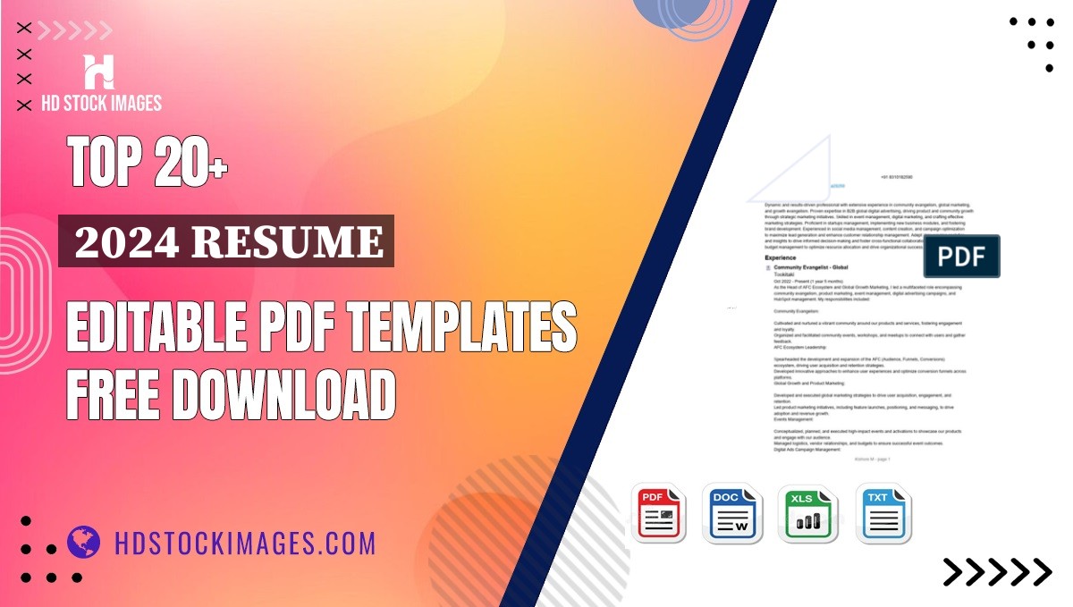 Top 20+ 2024 Resume Editable PDF Templates Free Download