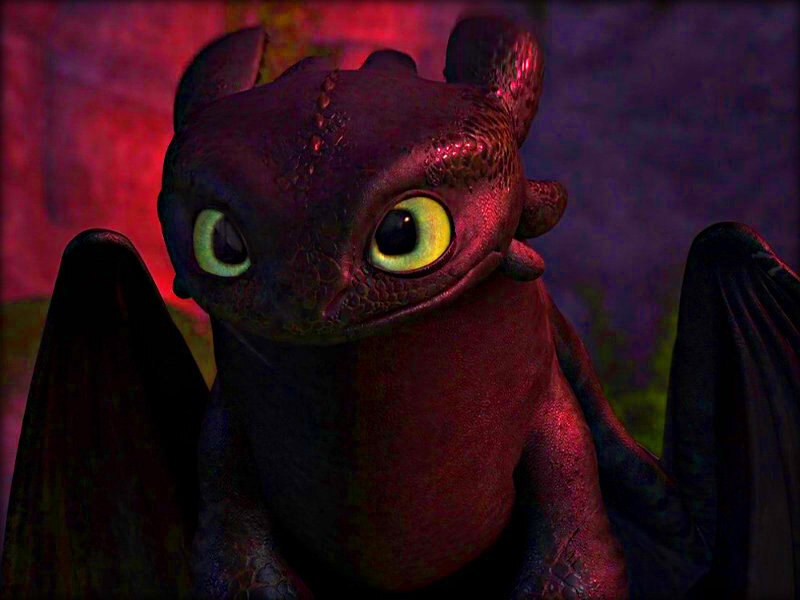 How to Train Your Dragon  Toothless