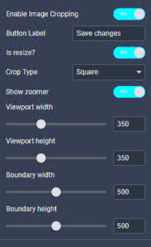 Image Cropping UI by Gloo for Elementor