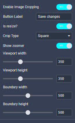 Image Cropping UI by Gloo for Elementor