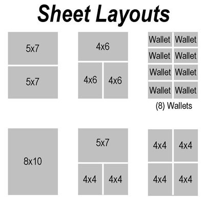 Wallet Size Photos Dimensions  Literacy Basics