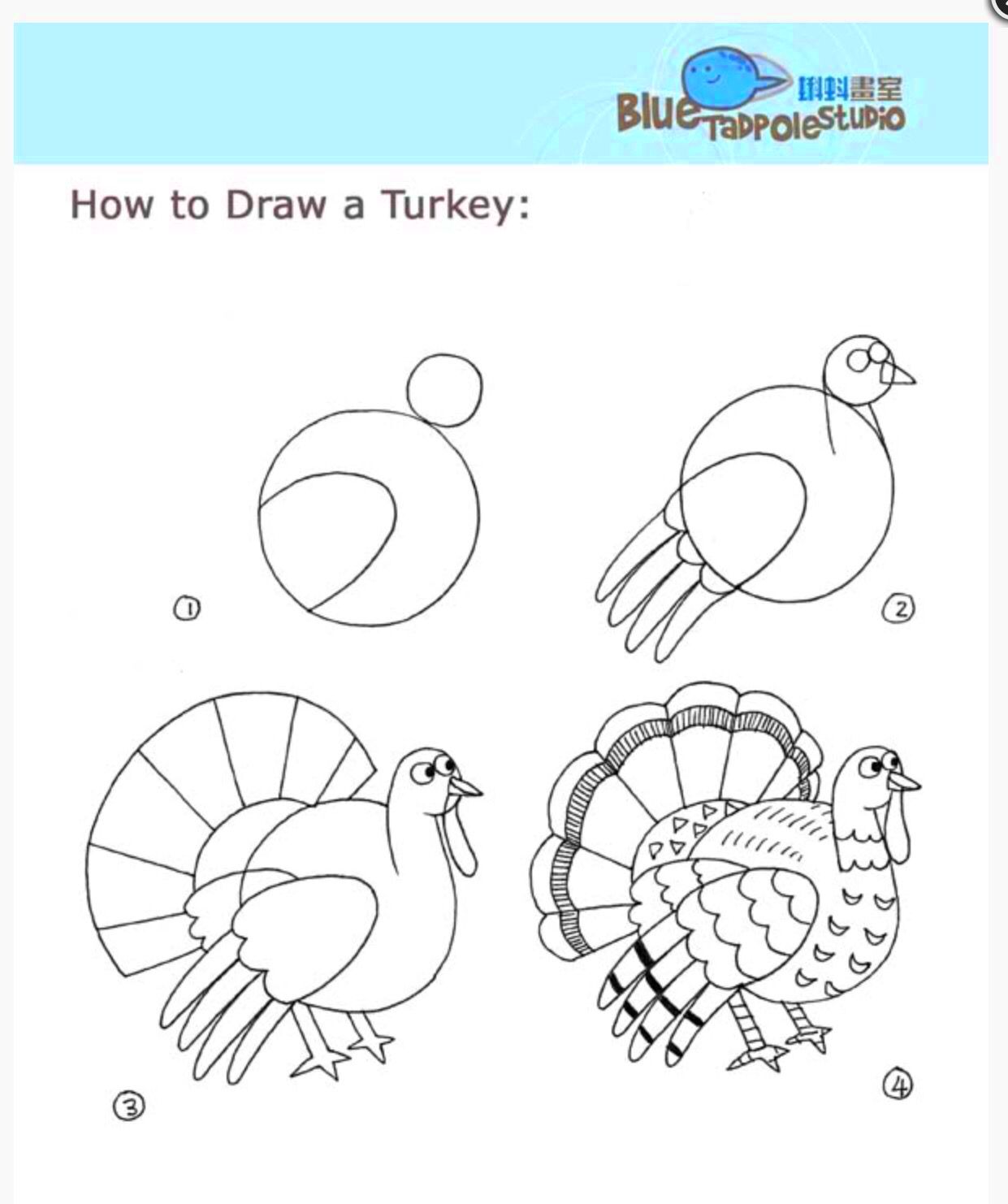 Easy The sketching To Draw A Thanksgiving Turkey Step By Step  EASY