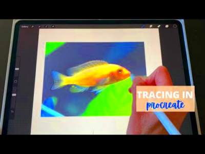 Tracing a photo in Procreate how To step by step Tutorial  YouTube