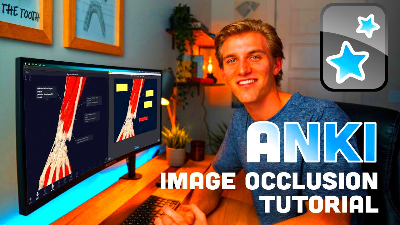 How To Use Anki Image Occlusion  Complete Anatomy Integration Tutorial