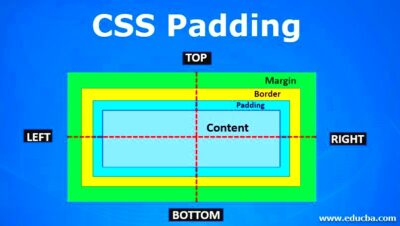 CSS Padding  A Comprehensive Guide to CSS Padding